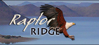 Raptor Ridge